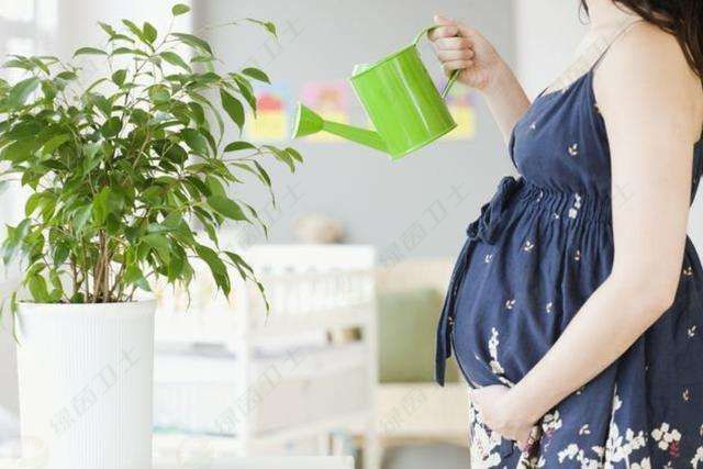 「新房除味」新房子要多久才能去除甲醛？一次去除甲醛要多少錢(qián)？