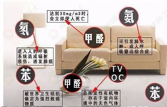 「室內(nèi)空氣凈化設(shè)備」裝修后去除甲醛的方法有哪些？去除甲醛后能活多久？
