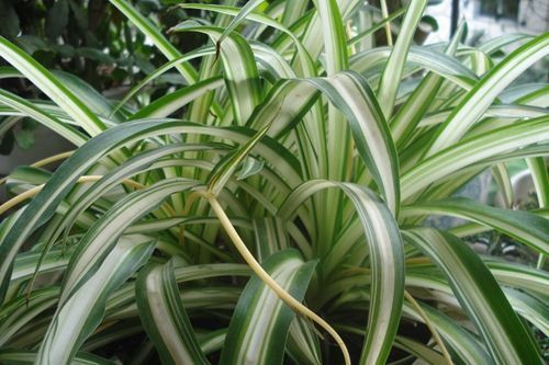 「空氣質(zhì)量檢測儀」謹(jǐn)防無甲醛產(chǎn)品造成的二次污染