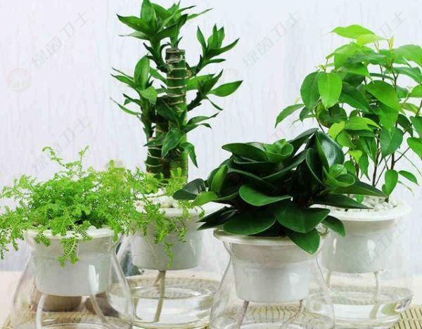 「無錫空氣凈化器廠家」新房裝修后最有效的除甲醛方法室內(nèi)除甲醛如何收費